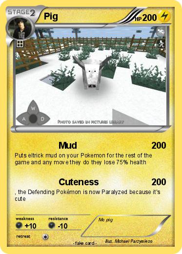 Pokemon Pig