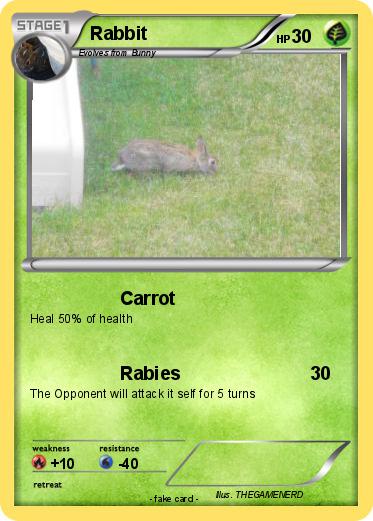 Pokemon Rabbit
