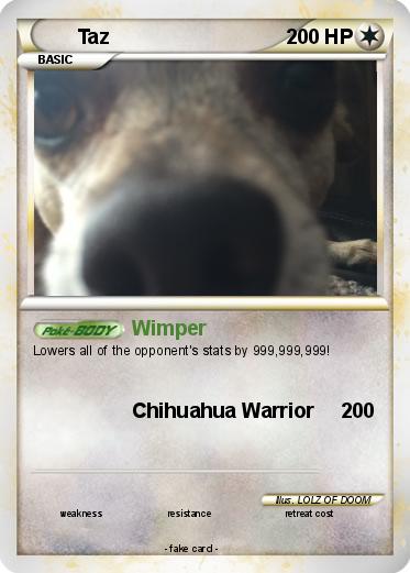 Pokemon Taz
