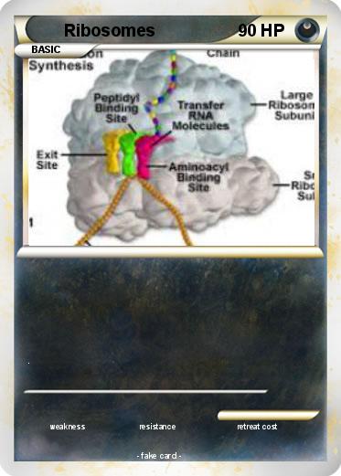 Pokemon Ribosomes