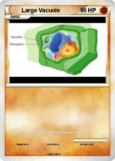 Pokemon Large Vacuole