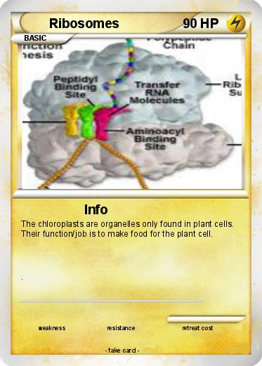 Pokemon Ribosomes