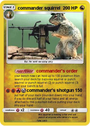 Pokemon commander squirrel