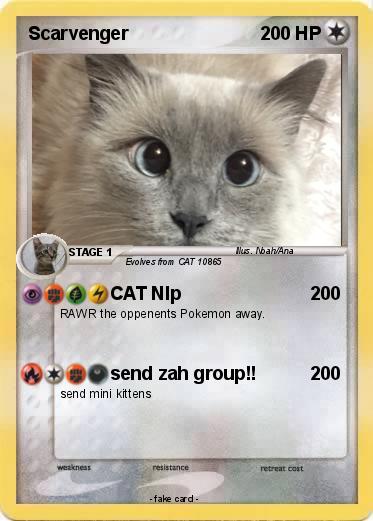 Pokemon Scarvenger