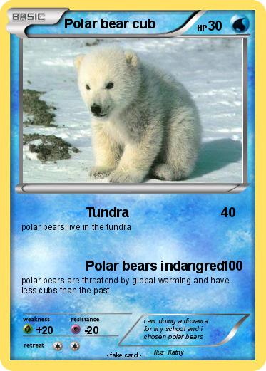 Pokemon Polar bear cub