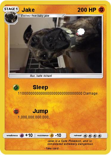 Pokemon Jake