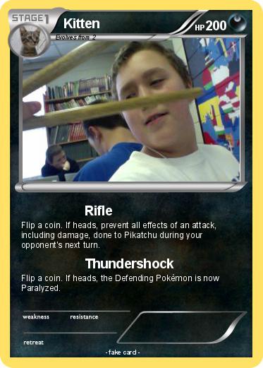 Pokemon Kitten