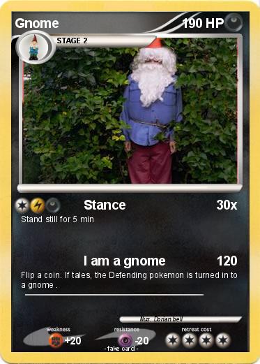 Pokemon Gnome