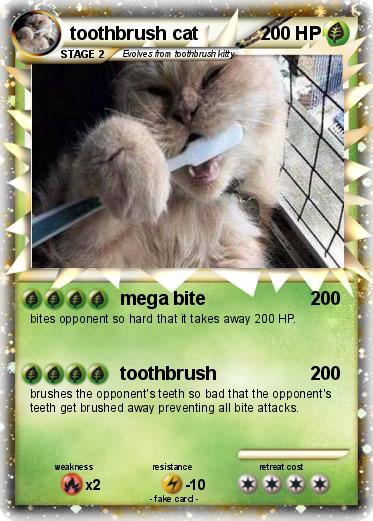 Pokemon toothbrush cat