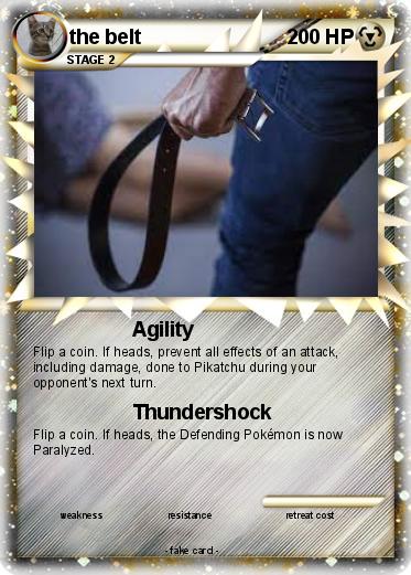 Pokemon the belt