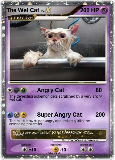 Pokemon The Wet Cat
