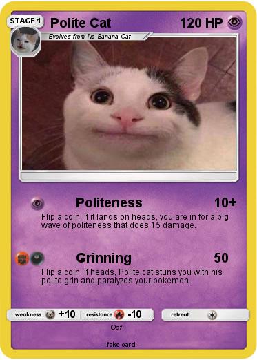 Pokemon Polite Cat