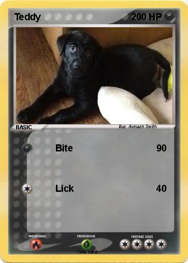 Pokemon Teddy