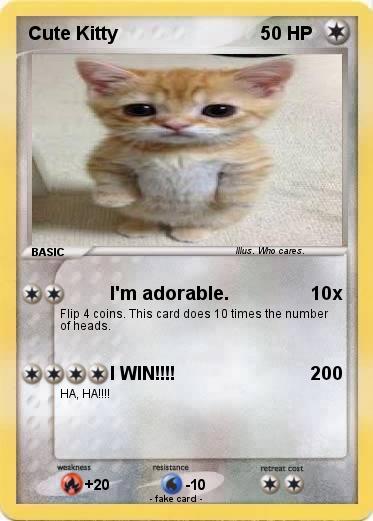 Pokemon Cute Kitty
