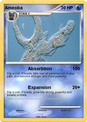Pokemon Ameoba