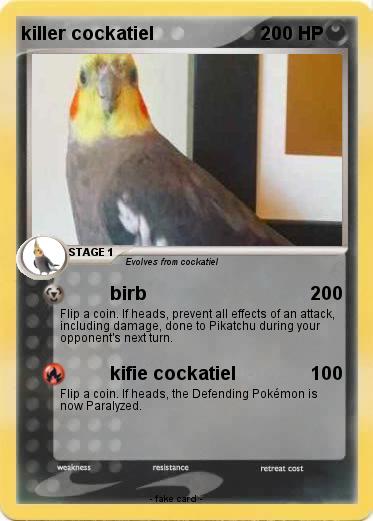 Pokemon killer cockatiel