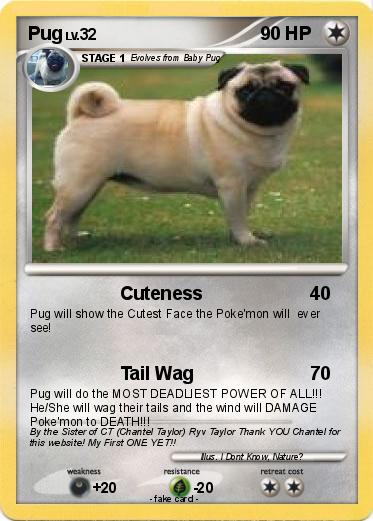 Pokemon Pug