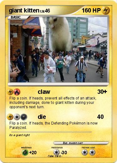 Pokemon giant kitten