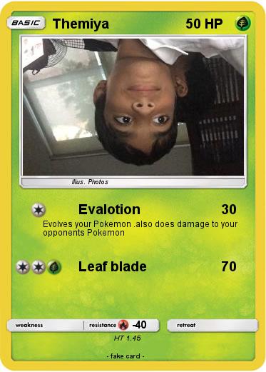 Pokemon Themiya
