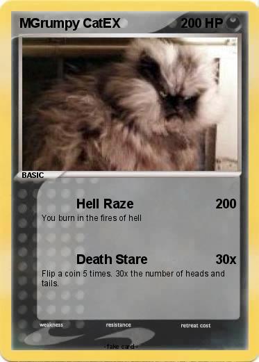 Pokemon MGrumpy CatEX