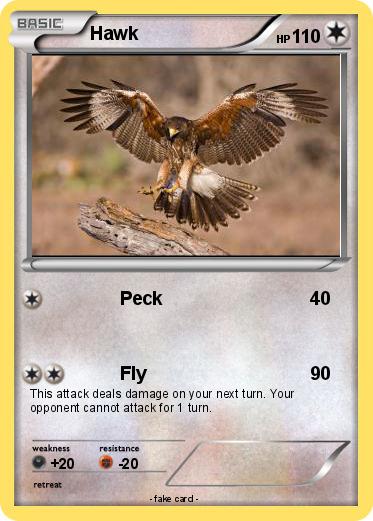 Pokemon Hawk