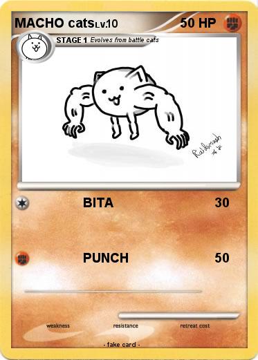 Pokemon MACHO cats