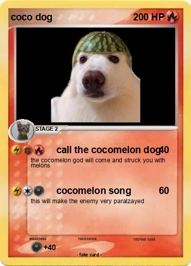 Pokemon coco dog