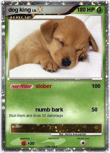 Pokemon dog king