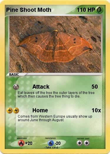 Pokemon Pine Shoot Moth