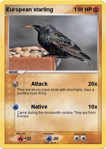 Pokemon European starling