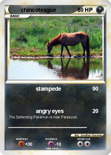 Pokemon chincoteague