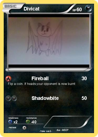Pokemon Divicat