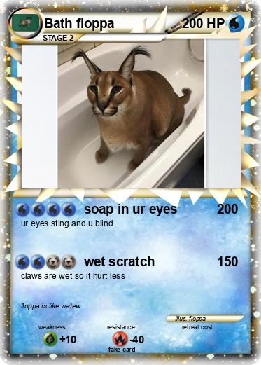 Pokemon Bath floppa