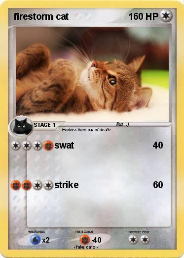 Pokemon firestorm cat