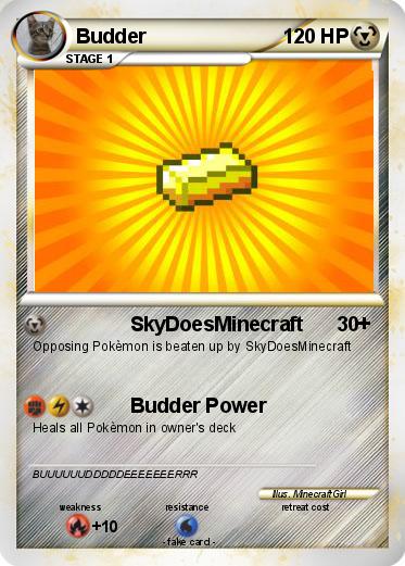 Pokemon Budder