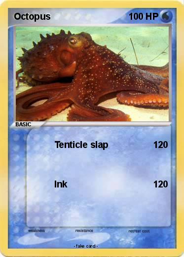 Pokemon Octopus