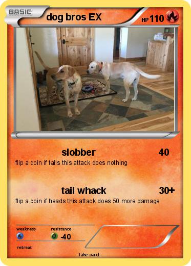 Pokemon dog bros EX