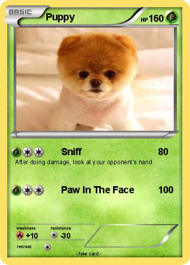 Pokemon Puppy
