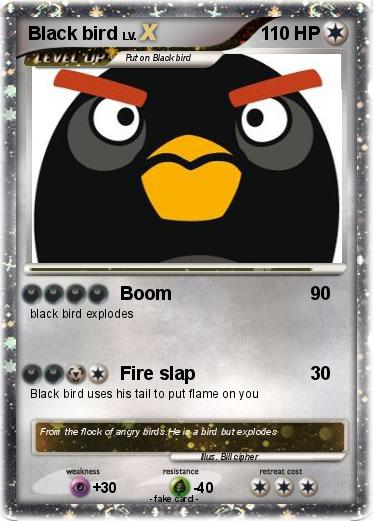 Pokemon Black bird