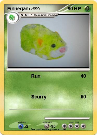 Pokemon Finnegan
