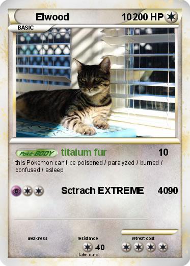 Pokemon Elwood                    10
