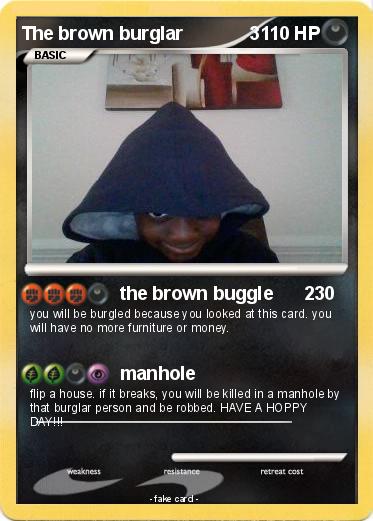 Pokemon The brown burglar             3