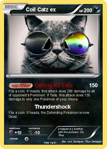 Pokemon Coll Catz ex
