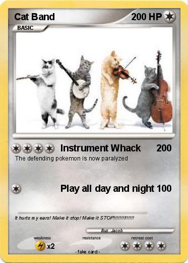 Pokemon Cat Band