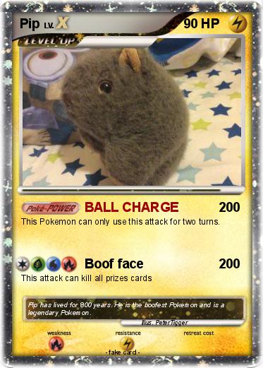 Pokemon Pip