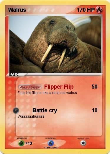 Pokemon Walrus