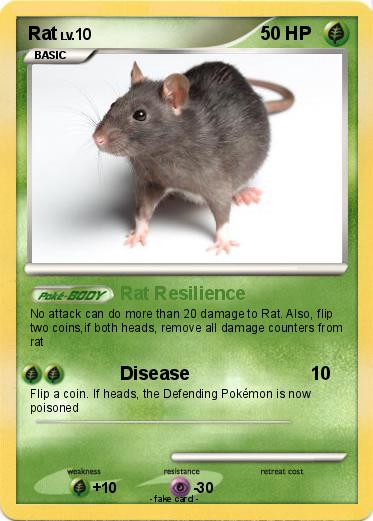 Pokemon Rat