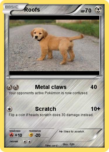 Pokemon Roofs