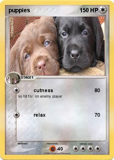 Pokemon puppies