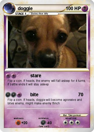 Pokemon doggie